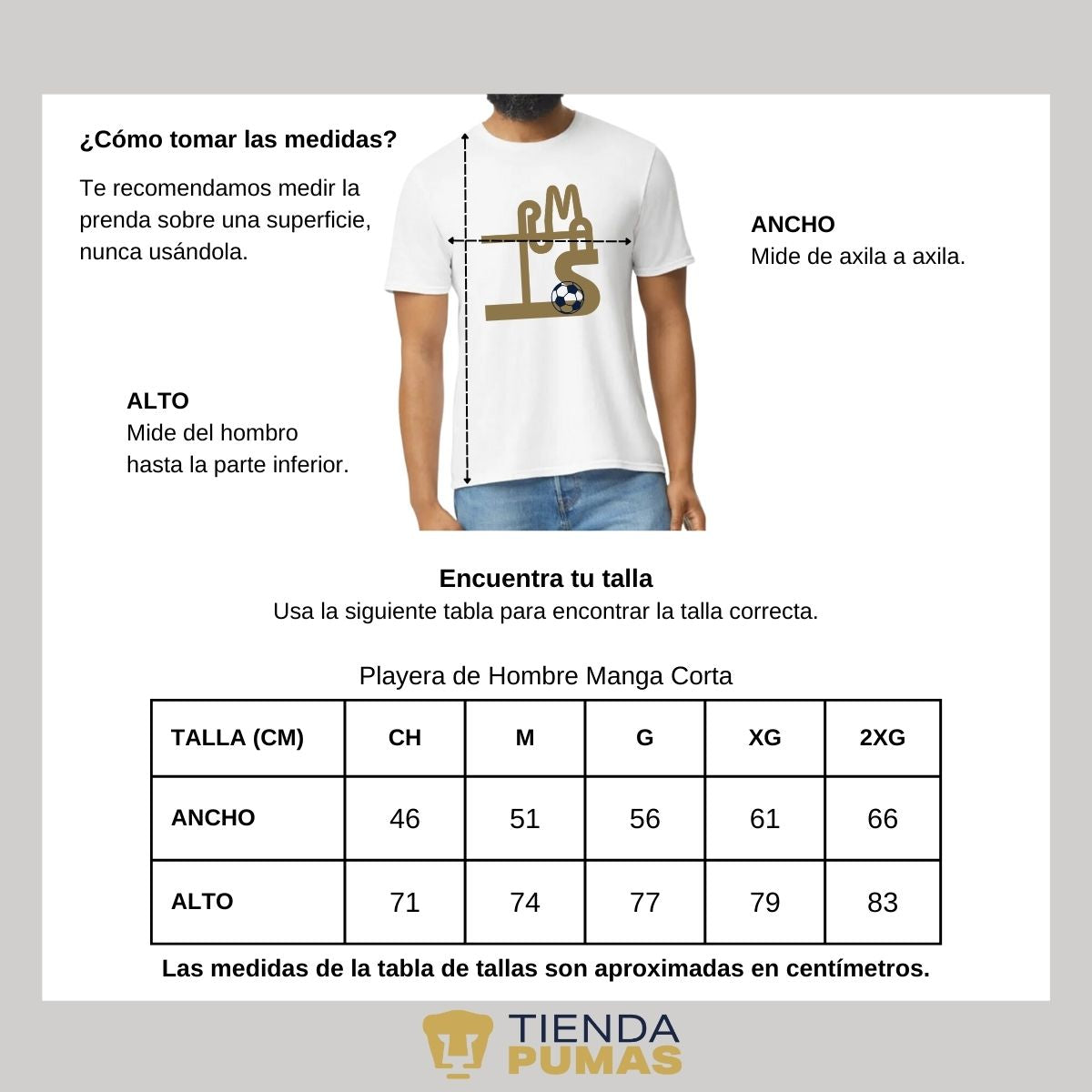 Playera Hombre Pumas UNAM Líneas