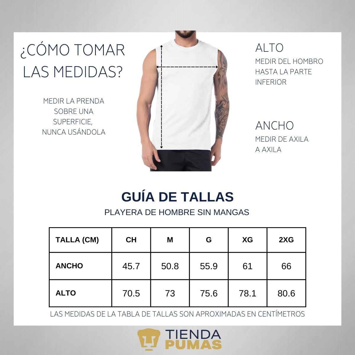 Playera Sin Manga Hombre Pumas UNAM Re Hecho en C.U. DTG-Vinil