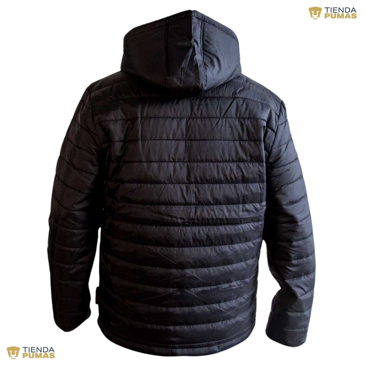 Chamarra para Hombre Pumas UNAM Original DGPJ335M – PM SHOP