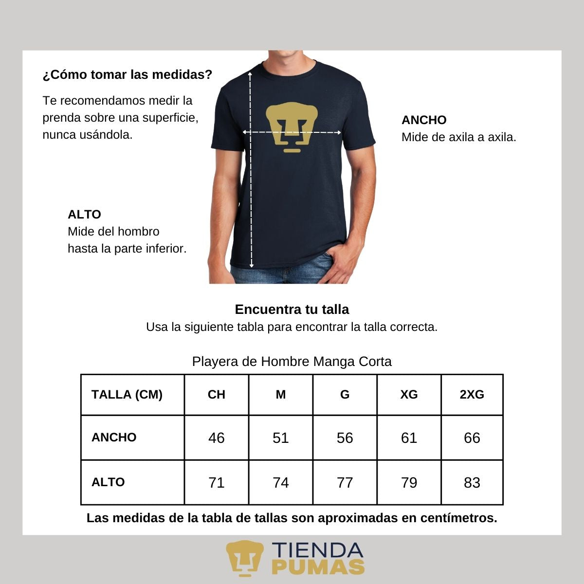 Playera Hombre Pumas UNAM Logo Dorado Vinil