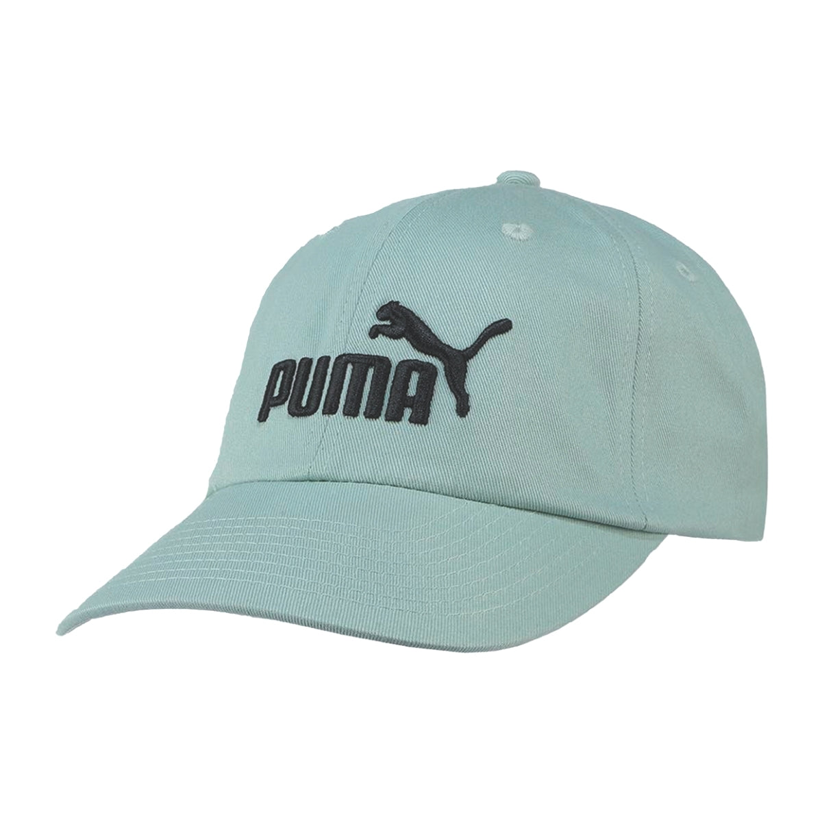 Gorra Puma Hombre Mujer OD85542