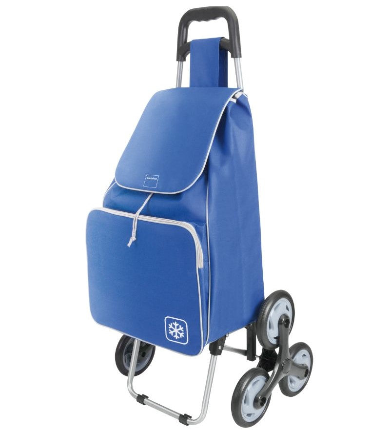 Carrito De Supermercado Con 6 Ruedas Para Mandado