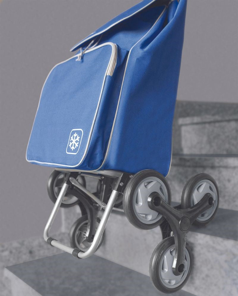 Carrito De Supermercado Con 6 Ruedas Para Mandado